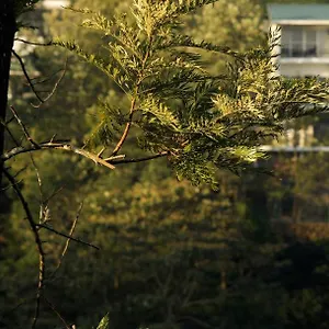 *** Resort Falcon Crest Hindistan